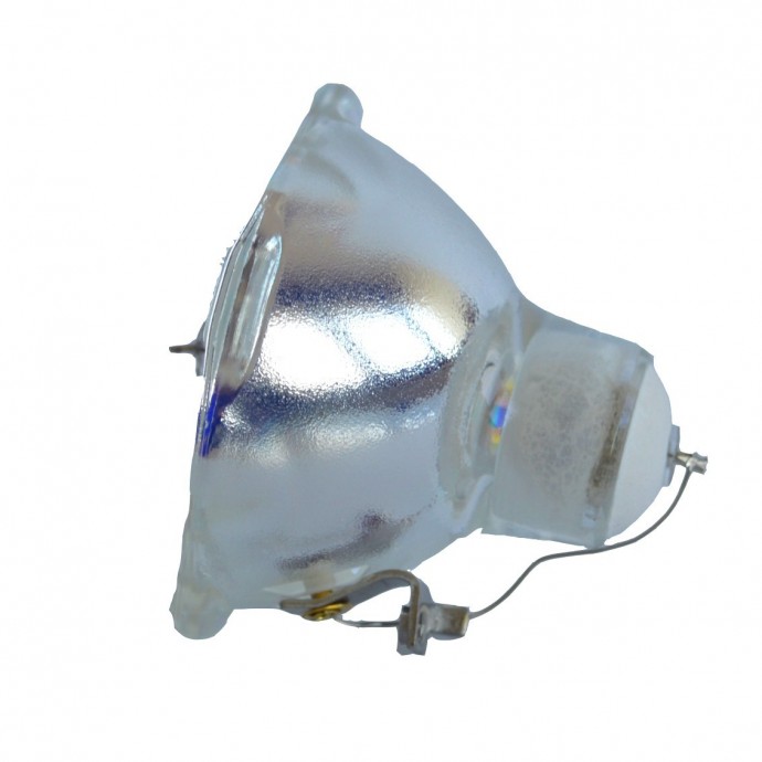 2R-LAMP