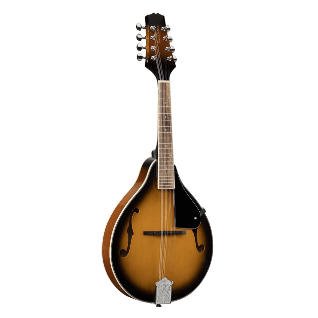 Bluegrass mandolin feautirng plywood spruce top