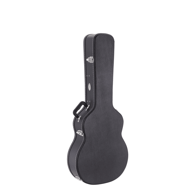 Hard case for hollow guitar (335 style)