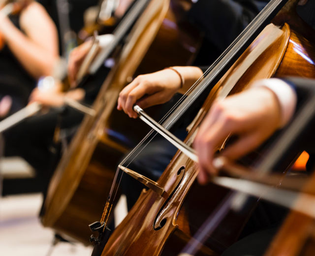 Latest Blog articles