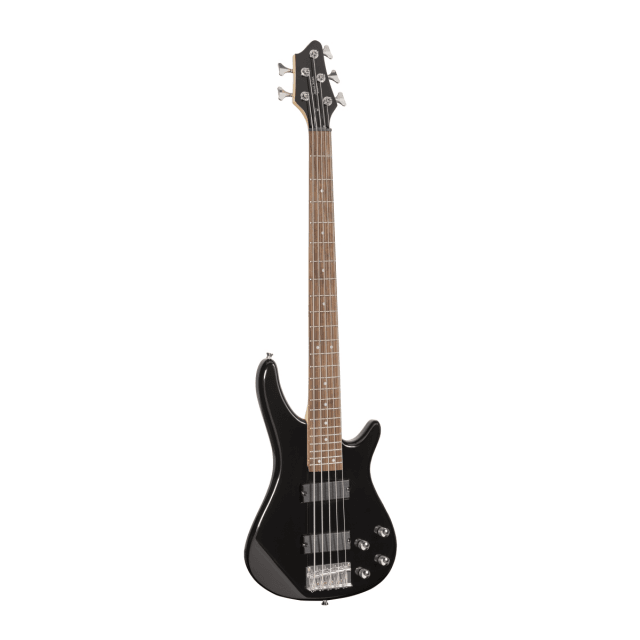 Electric bass with bridge and neck pick ups (5 strings version)