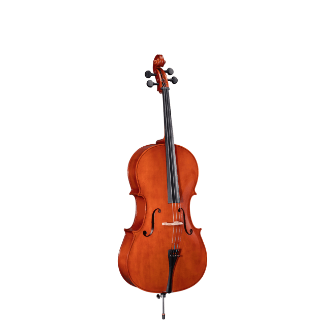 1/4 Virtuoso Primo cello with bags and bow