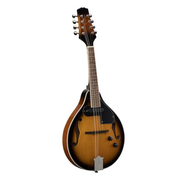 Electric bluegrass mandolin feauturing plywood spruce top