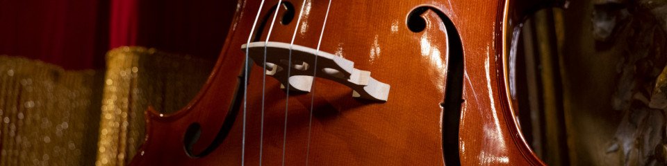 Violoncelli