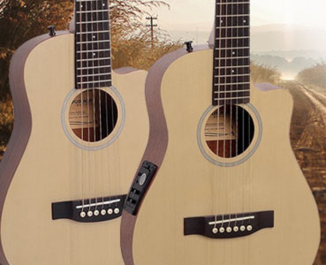 NEW! Compañera series