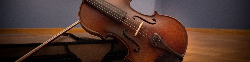 Bowed Instruments Cases