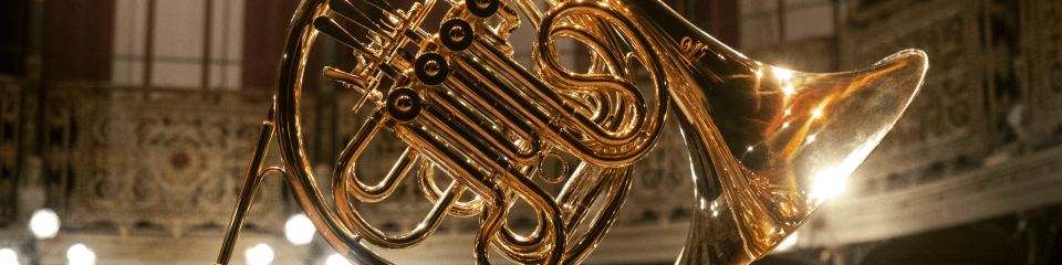 Wind Instruments Cases