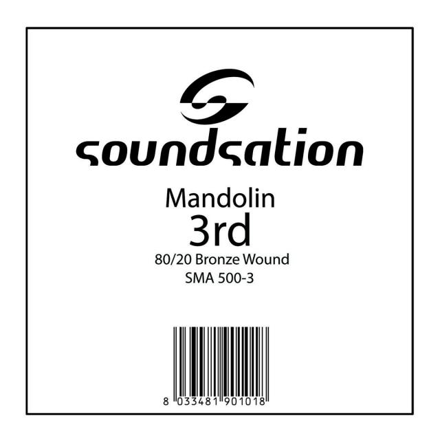 Mandolin string - .024
