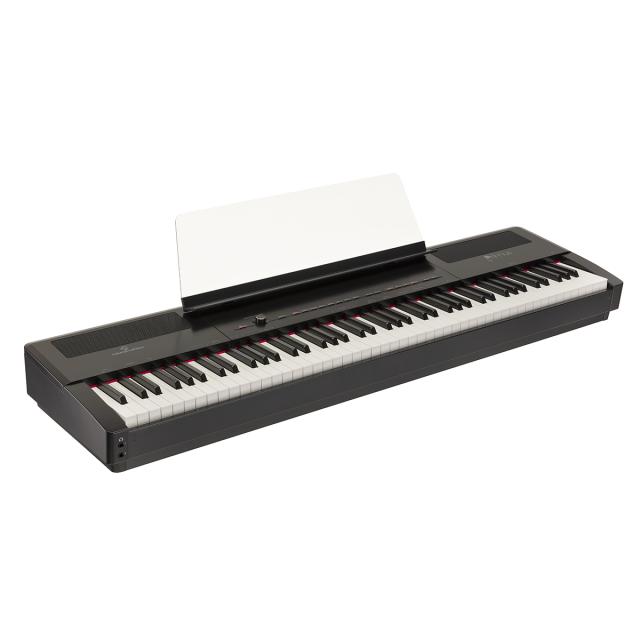 Portable digital piano with 88  Hammer Action keys and Ivory Feel