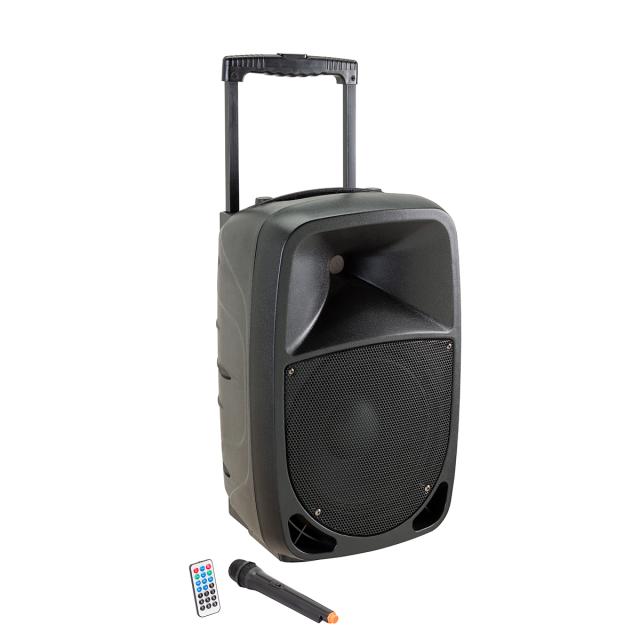 Cassa Attiva a 2-vie Portatile con Trolley e Batteria Ricaricabile