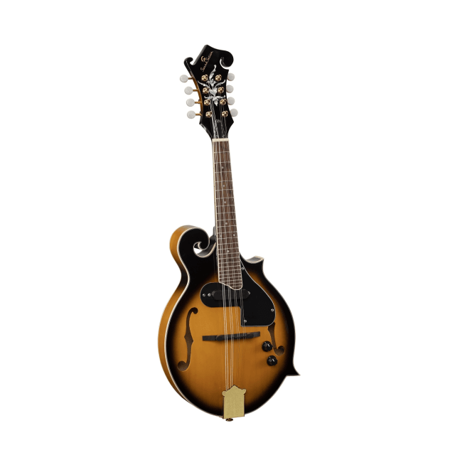 Bluegrass mandolin plywood spruce top