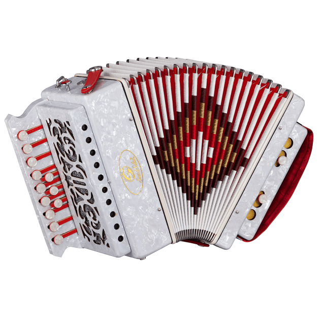 D diatonic celluloid accordion