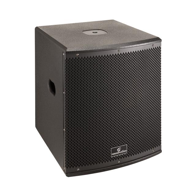Subwoofer Professionale Passivo 12" con Bass Reflex