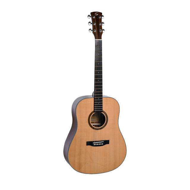 Chitarra acustica Dreadnought con finitura lucida