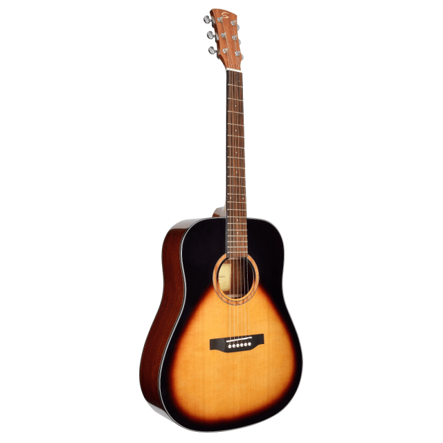Dradnought acoustic guitar in glossy finish