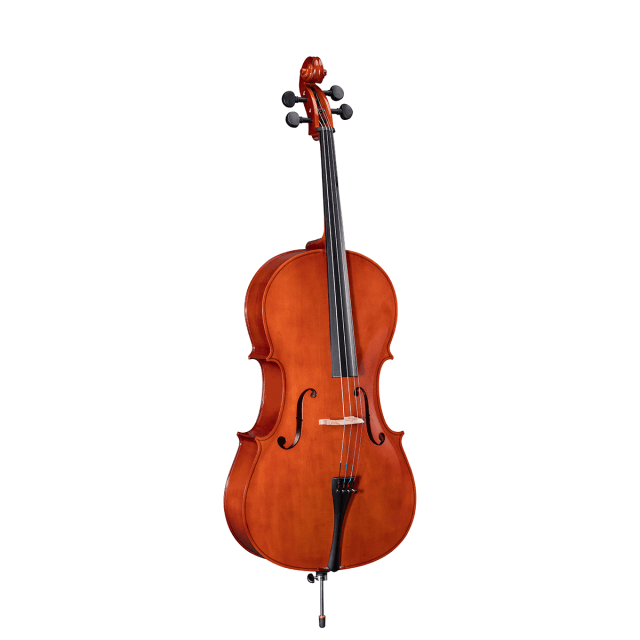 3/4 Virtuoso Primo cello with bags and bow