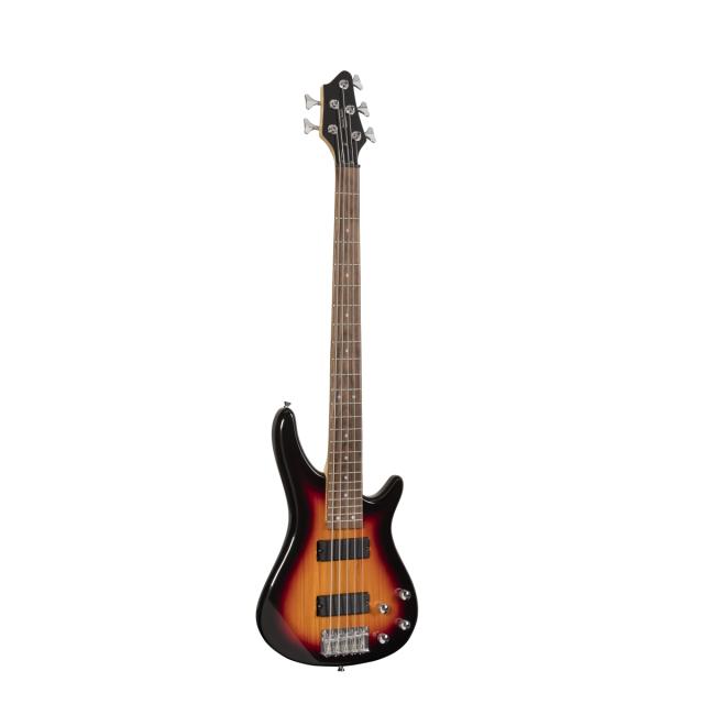 Electric bass with bridge and neck pick ups (5 strings version)
