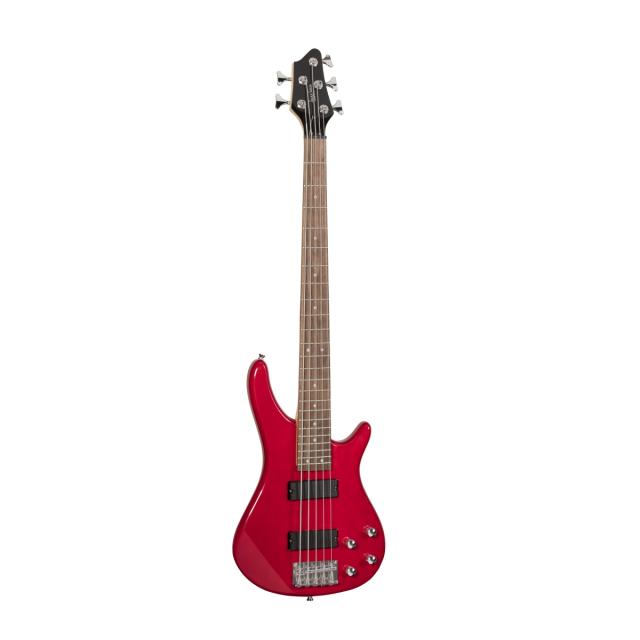 Electric bass with bridge and neck pick ups (5 strings version)
